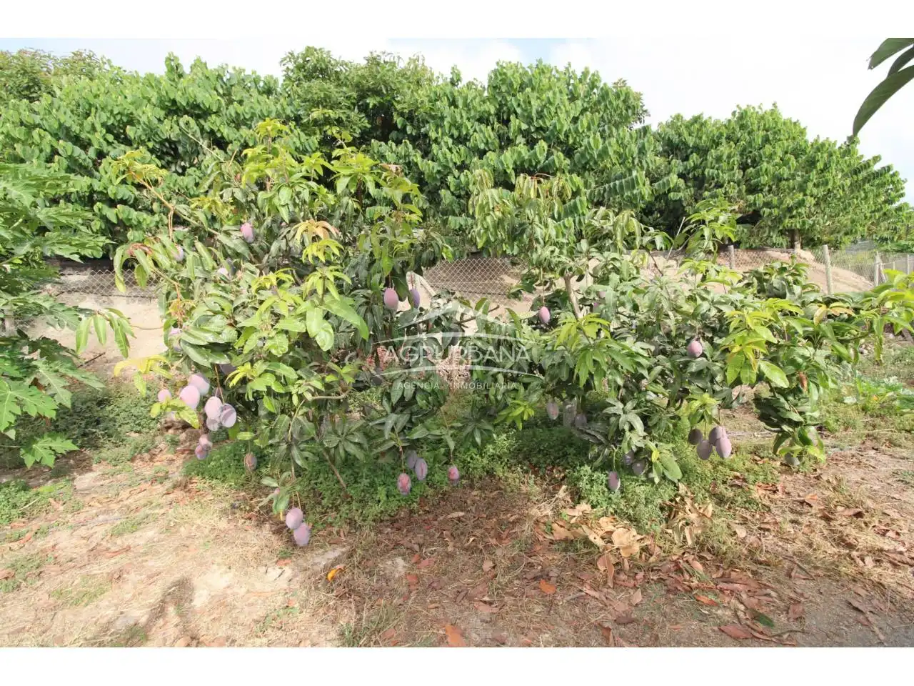 Country house with pool for sale in Poligono 29, imagen 24