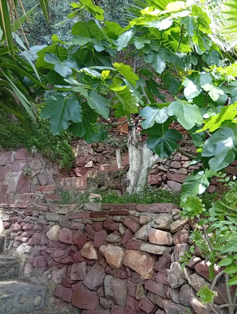 Jardí de Casa o xalet en venda en Sagunto / Sagunt amb Calefacció, Terrassa i Traster