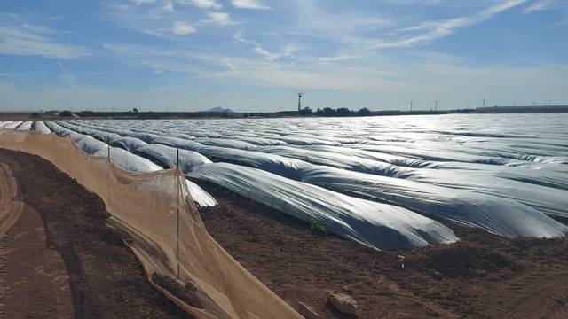 Terreno en Venta en Balsapintada - El Estrecho