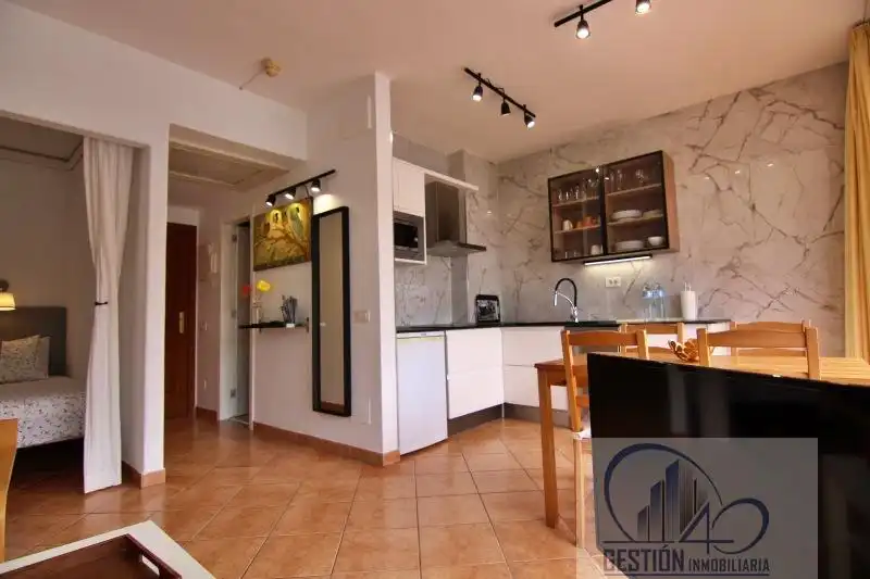 Kitchen of Apartments for rent in Puerto de la Cruz  with Parquet flooring, Terrace and Furnished
