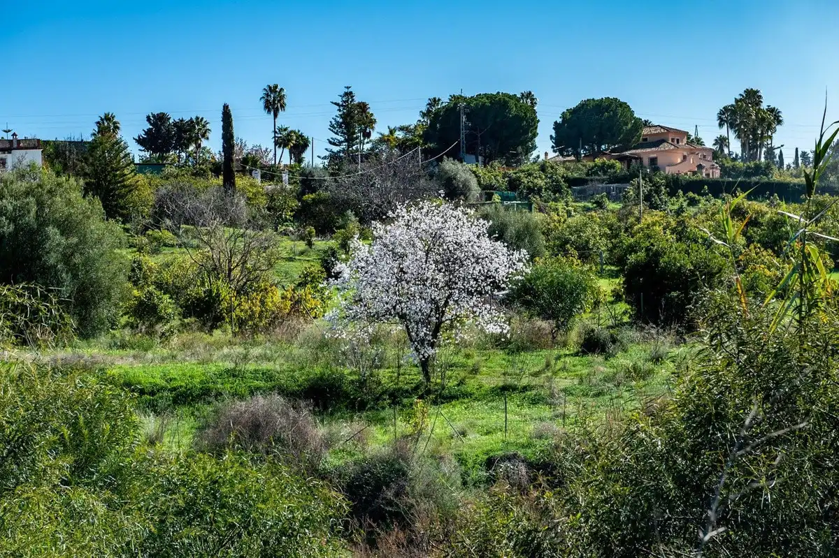 Terreno residenziale in vendita a Benamara - Atalaya, imagen 16
