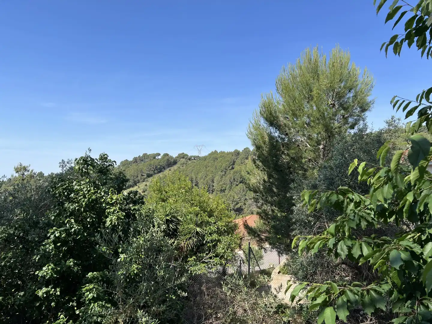 Casa o xalet en venda a ARBOLI, Almoster