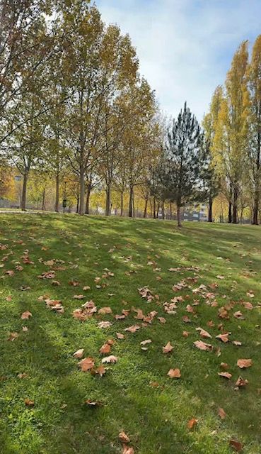 Vista exterior de Pis en venda en  Logroño amb Calefacció, Parquet i Traster