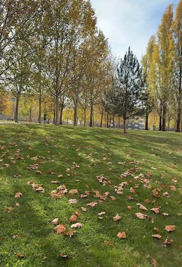 Photo 1 of Flat for sale in San Adrián, La Rioja