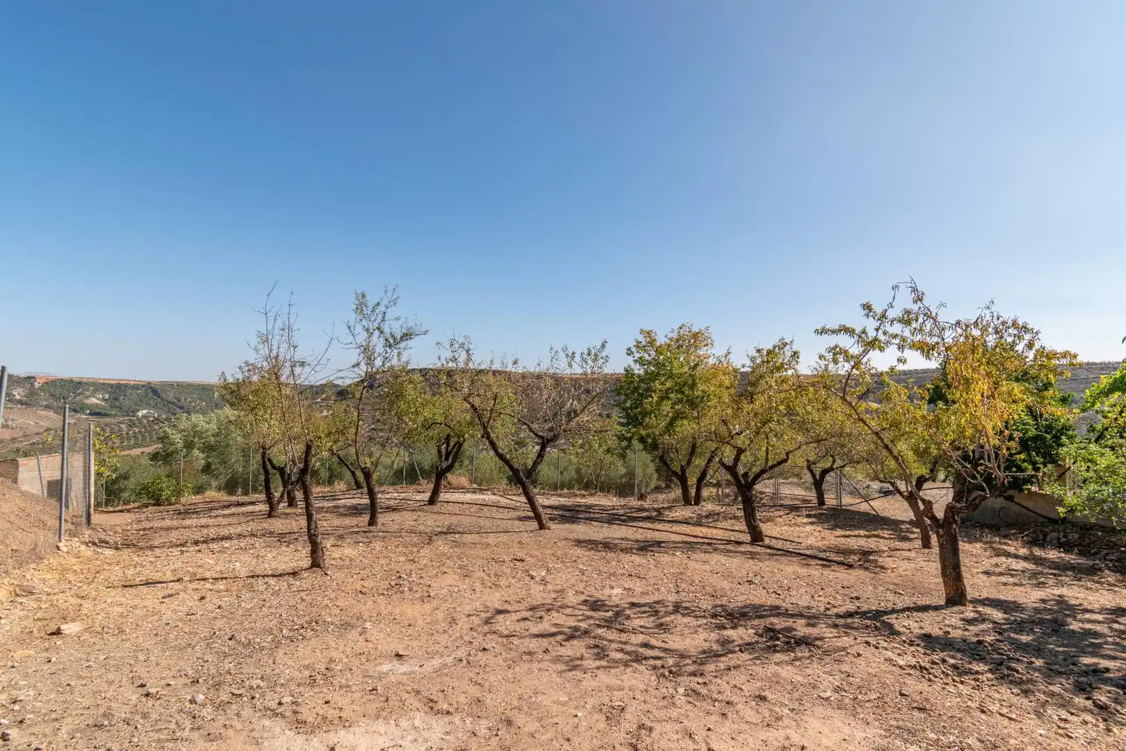 Finca rústica en venta en Vereda morollon, La Peza