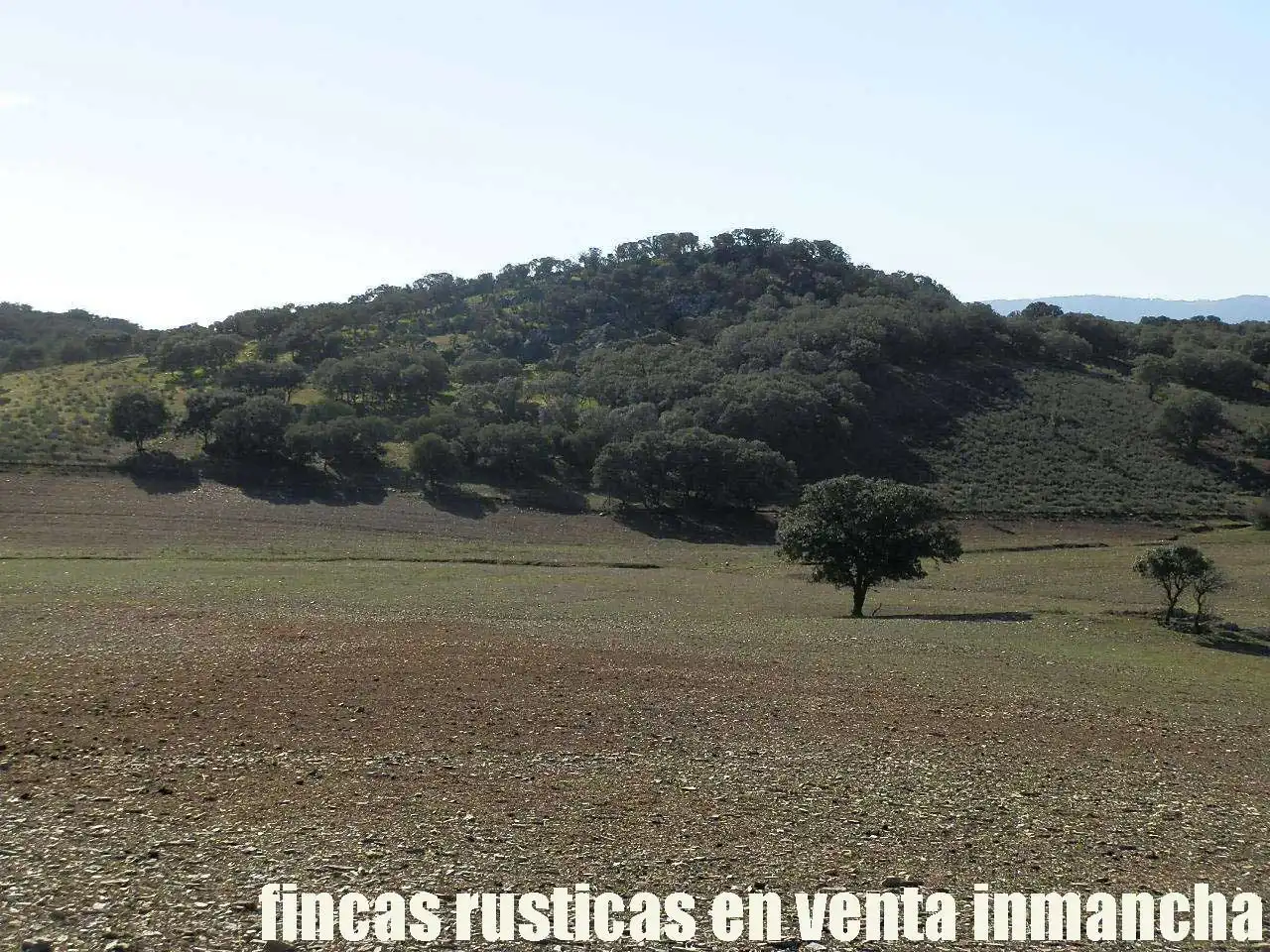 Terreno en venta en Almuradiel