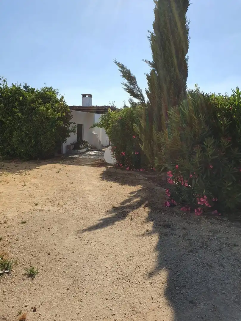 Garden of Country homes for sale in Chiclana de la Frontera  with Private garden
