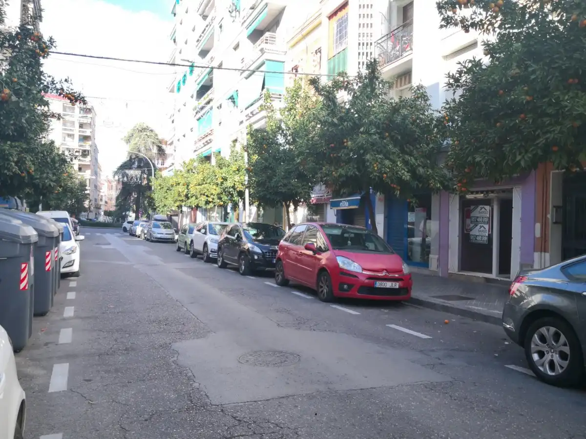 Business premises for sale in Poniente-Sur, imagen 13