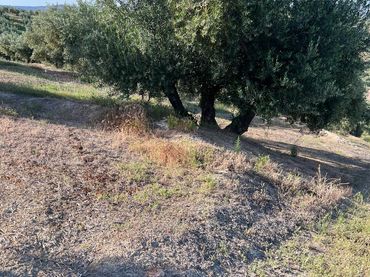 Terreno rústico en venta en Fuente-Tójar