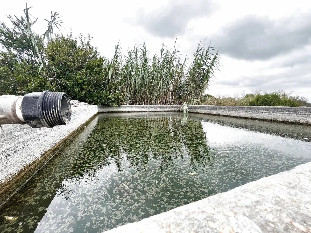 Maison rustique avec piscine à vendre à Sant Lluís - S'Ullestrar - Torret, imagen 5