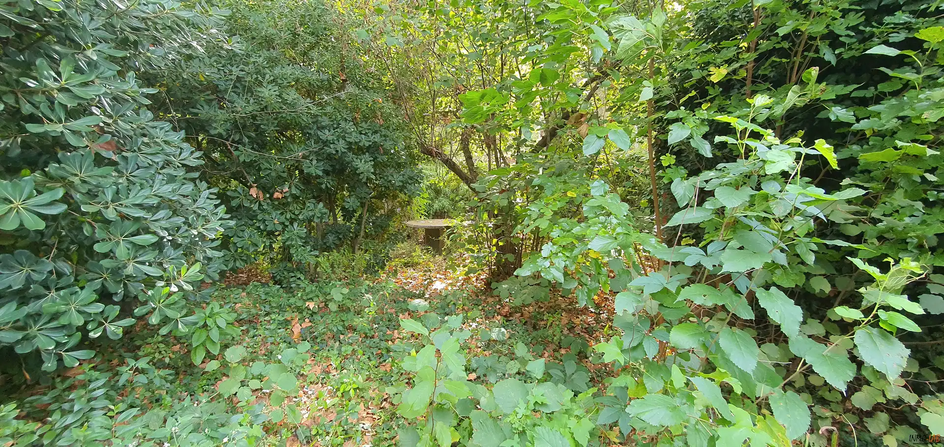 Residential land for sale in Vallgorguina, imagen 5