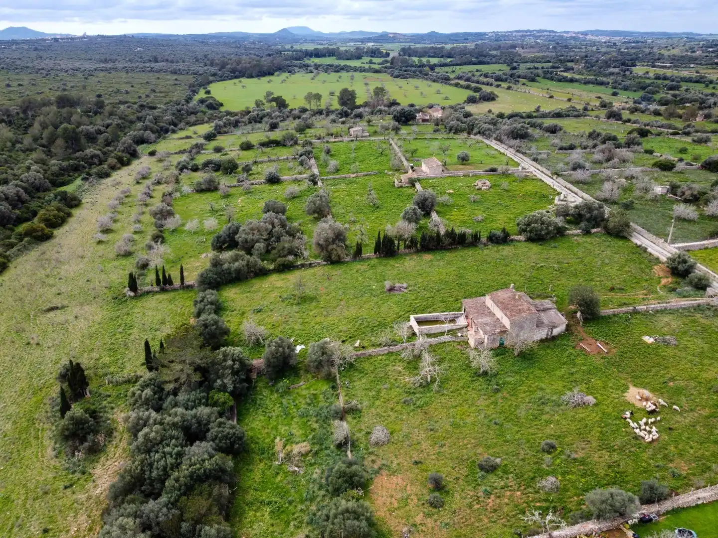 Finca rústica en venda en Santa Margalida amb Terrassa, Traster i Piscina