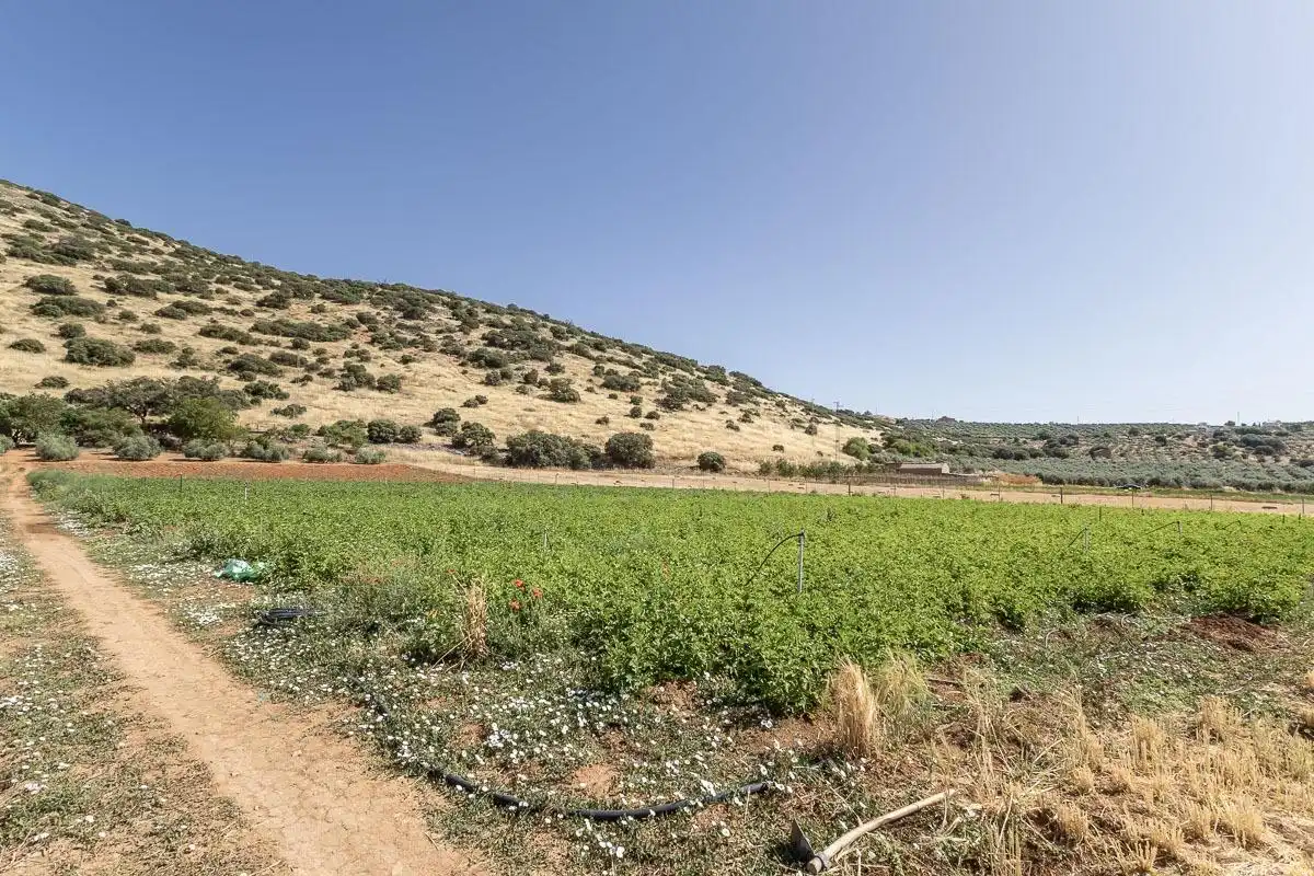 Land for sale in Montefrío