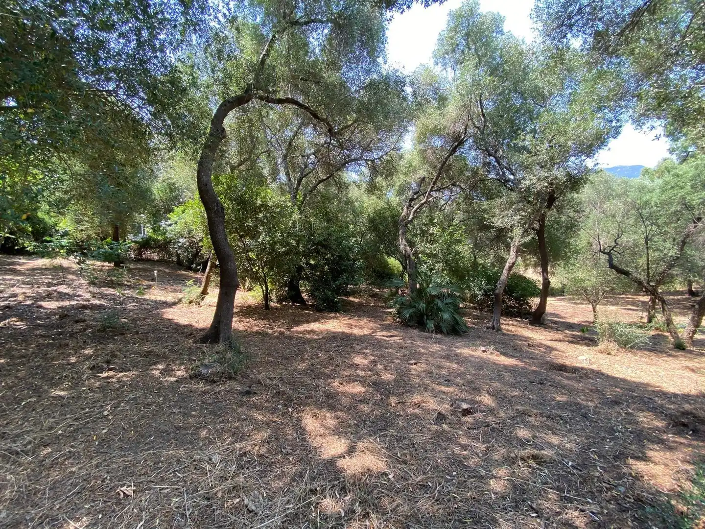 Casa o xalet en venda en Los Barrios amb Jardí privat, Terrassa i Traster