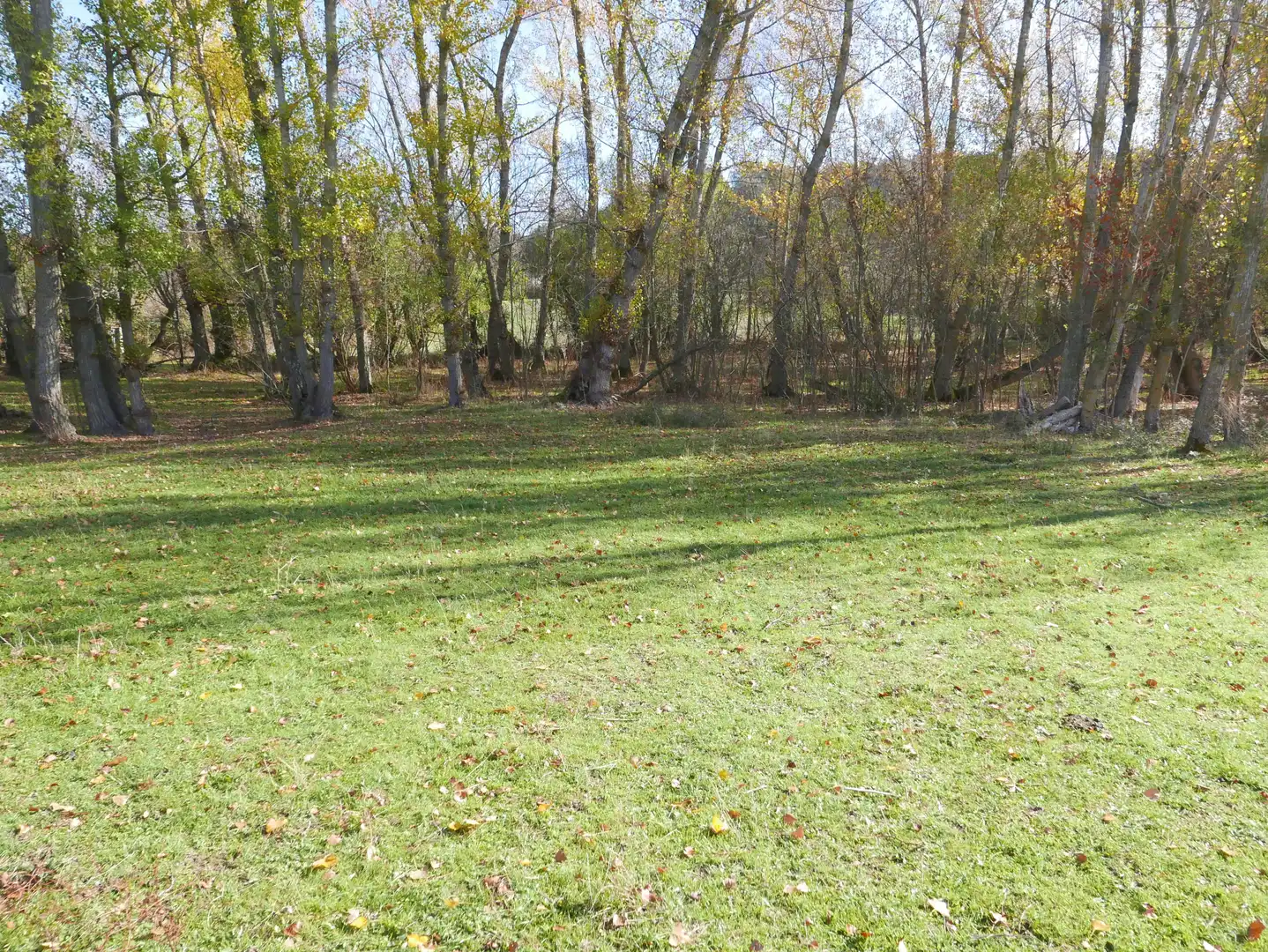 Land for sale in Santo Tomé del Puerto