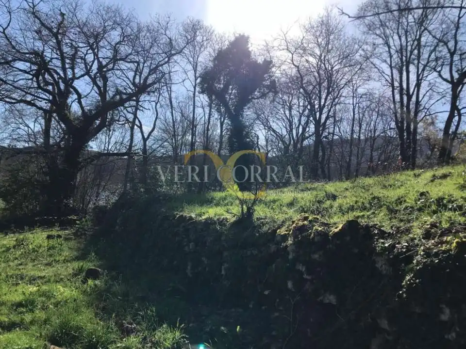 Terreno rustico in vendita a San Roque del Acebal, imagen 8