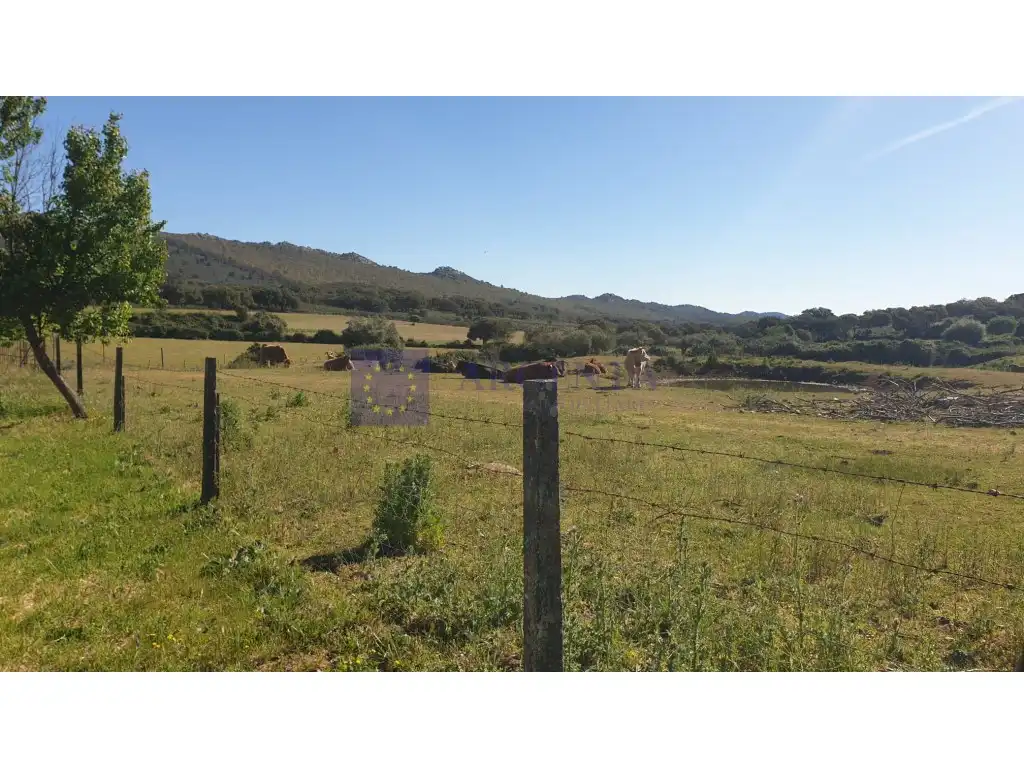 Houses for sale in Plaza Manuel De Falla, Zona Norte - Hospital - Urbanizaciones