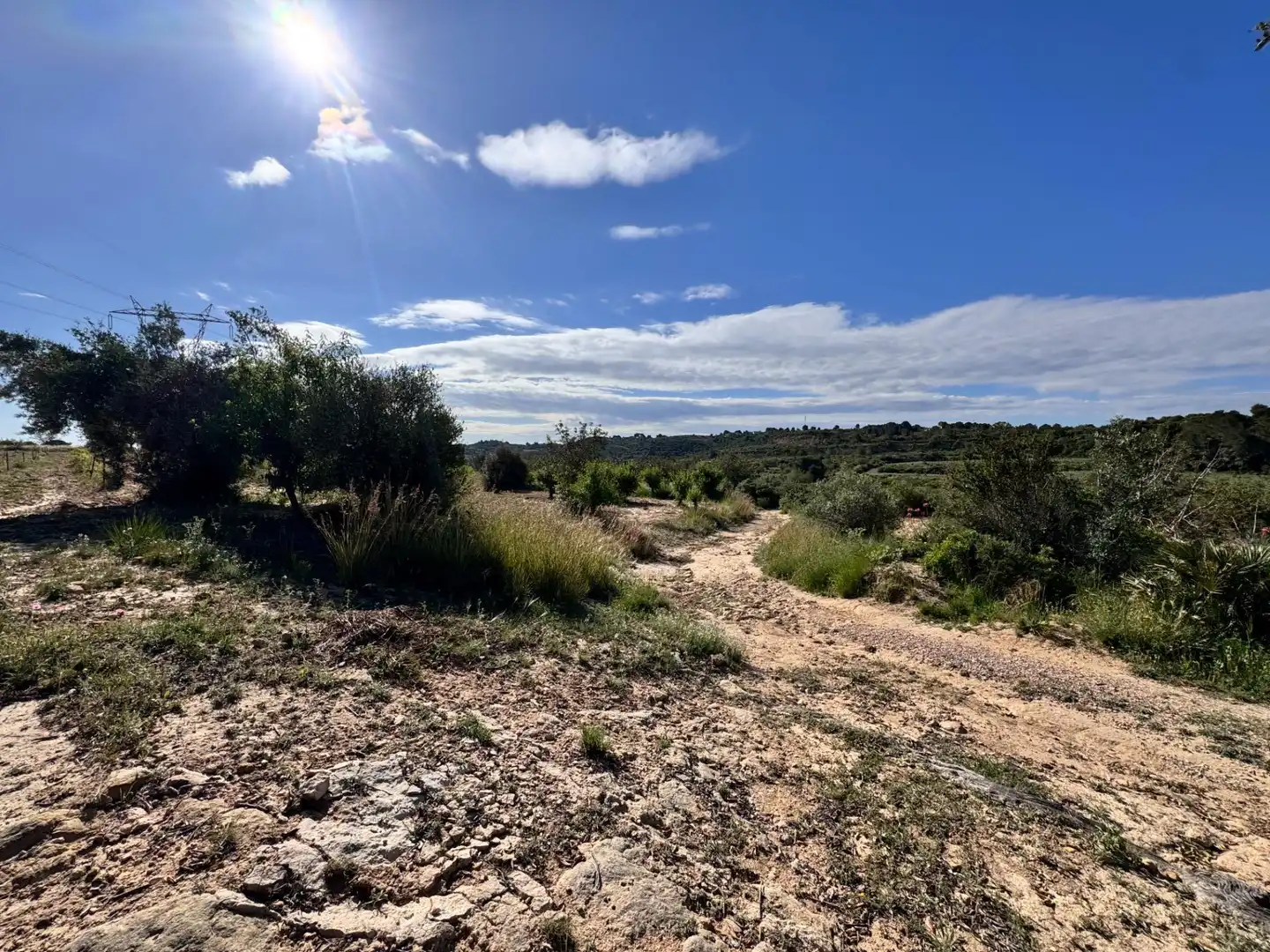 Land for sale in Polígono 26 Parcela 21 CASA BLANCA-BARBETA. TORRE, 26, Poligono Mas del Jutge