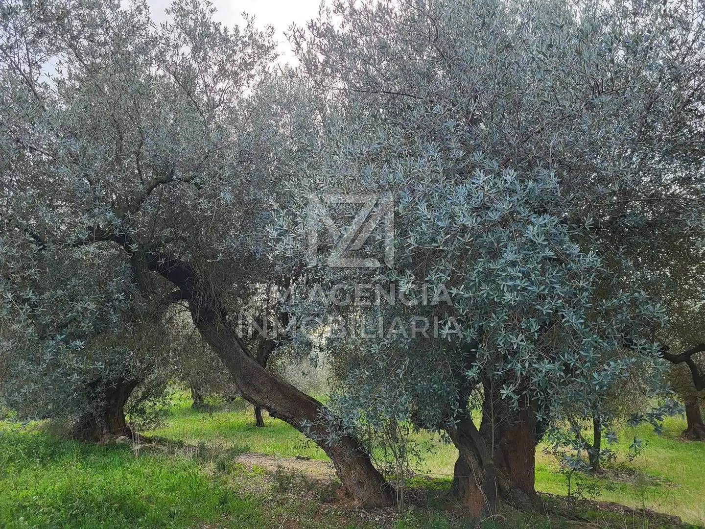 Terreno rustico in vendita a Cabanes, imagen 8