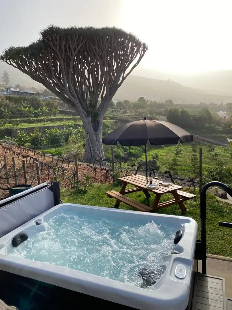 Garten von Country house zum Verkauf in Santa Úrsula mit Privatgarten, Terrasse und Schwimmbad