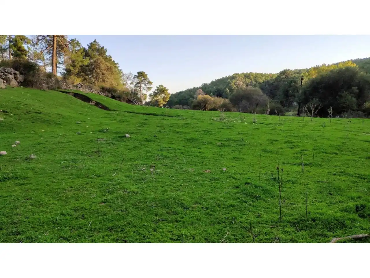 Residencial en venta en Las Navas del Marqués 