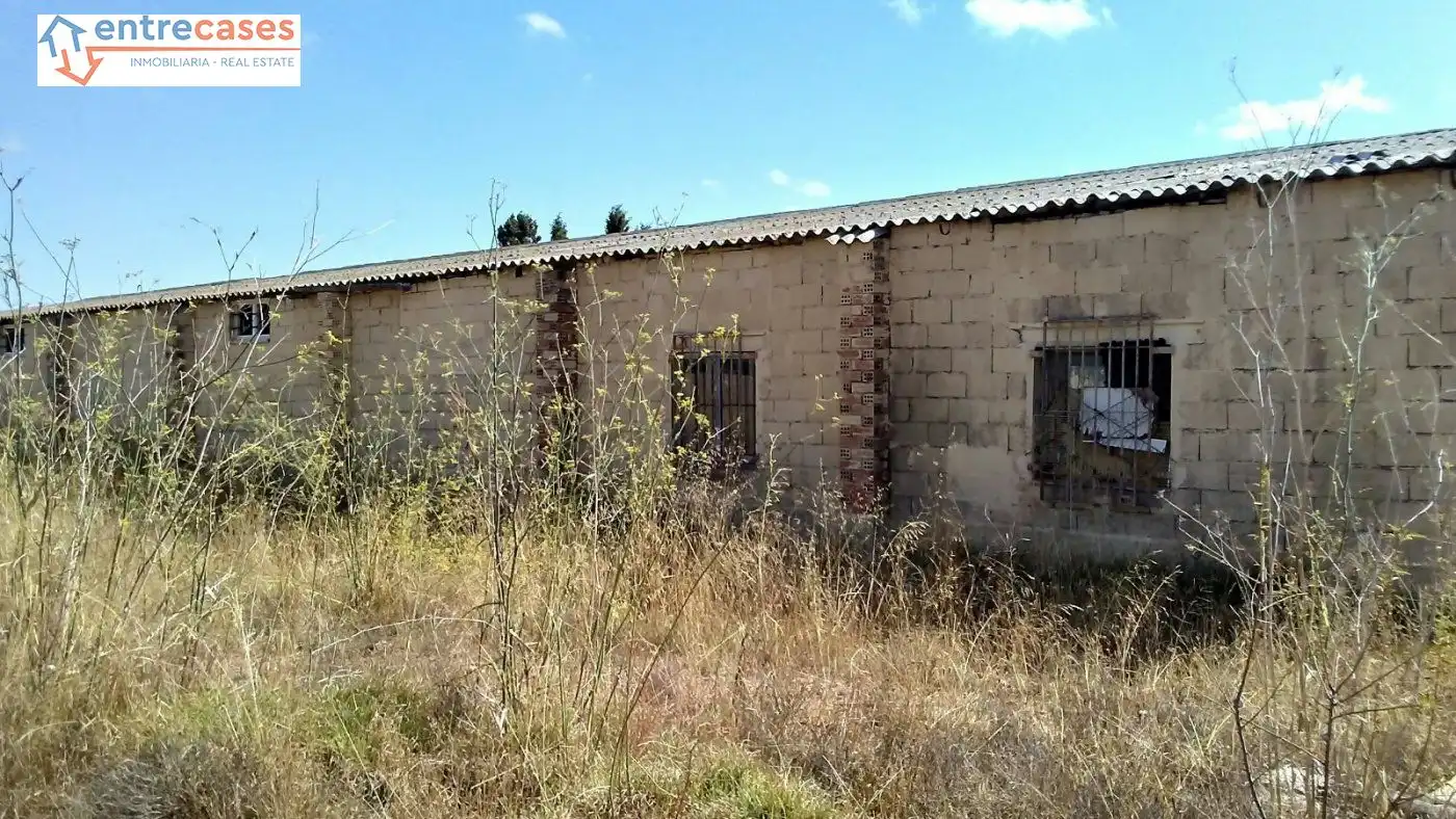 Rural land for sale in Albalat dels Tarongers, imagen 25
