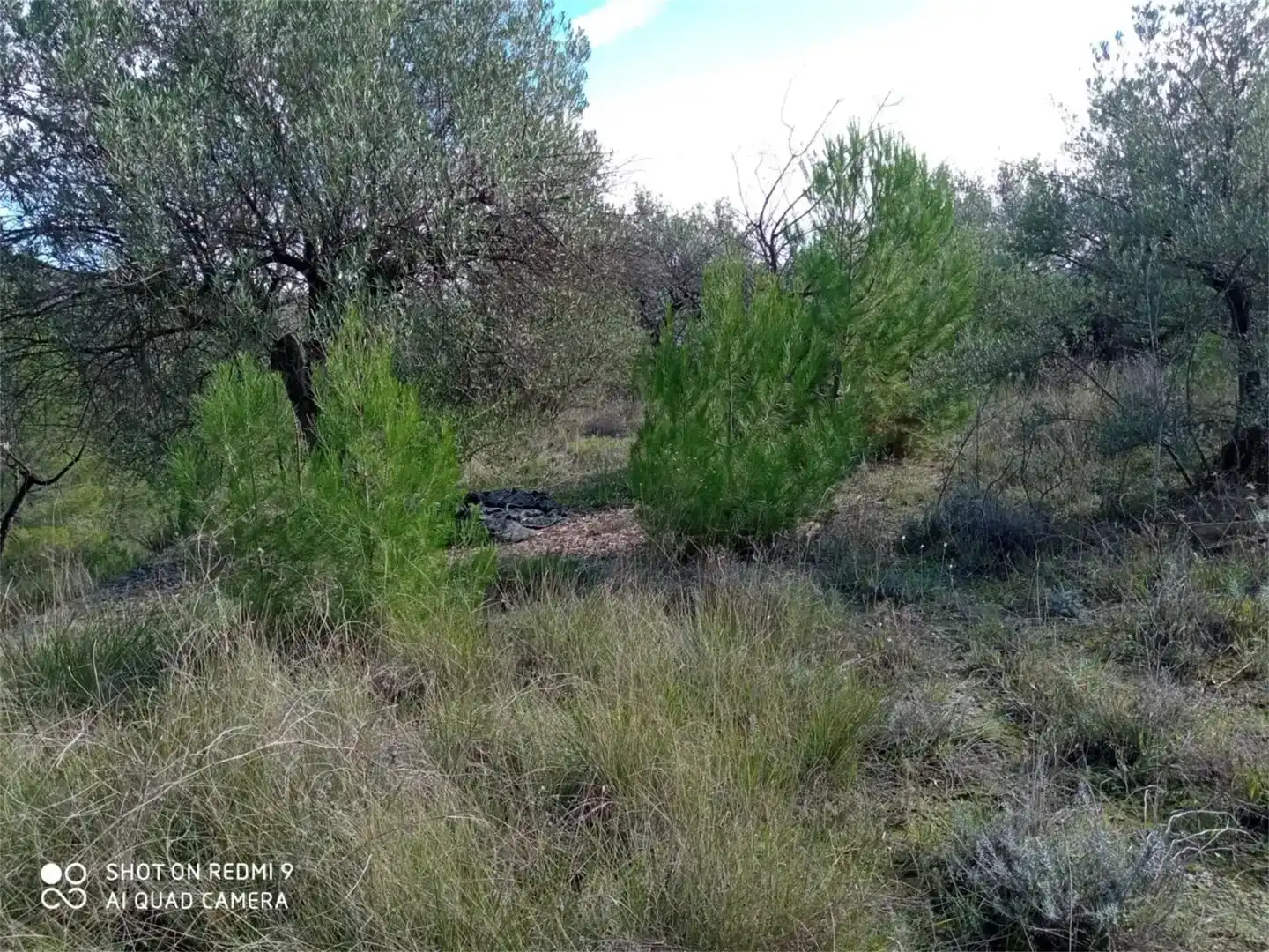 Terreno en venta en Balones
