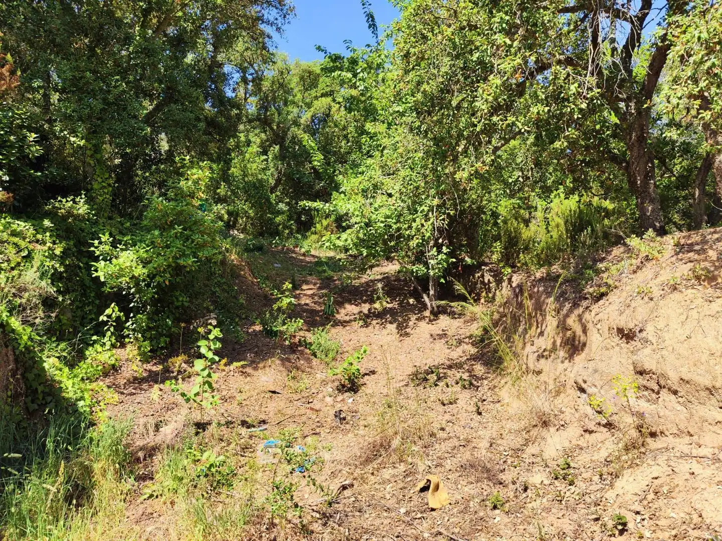 Lands and plots for sale in Llagostera, imagen 4