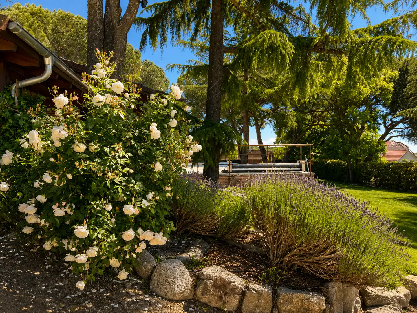 Jardí de Casa o xalet en venda en Hoyo de Manzanares amb Jardí privat, Piscina i Moblat