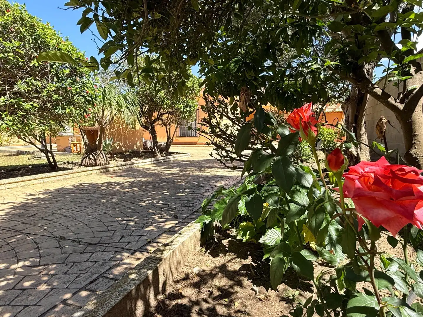 Jardí de Casa o xalet en venda en Chiclana de la Frontera