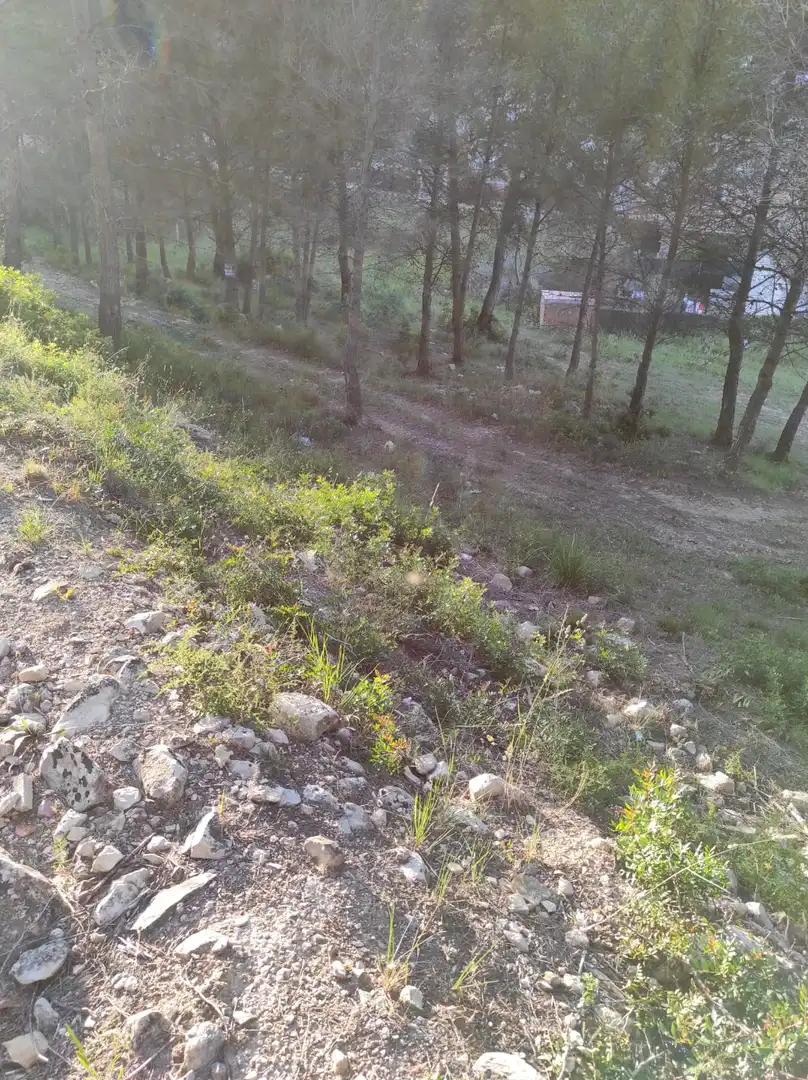 Terreno residencial en venta en Canyelles, imagen 3