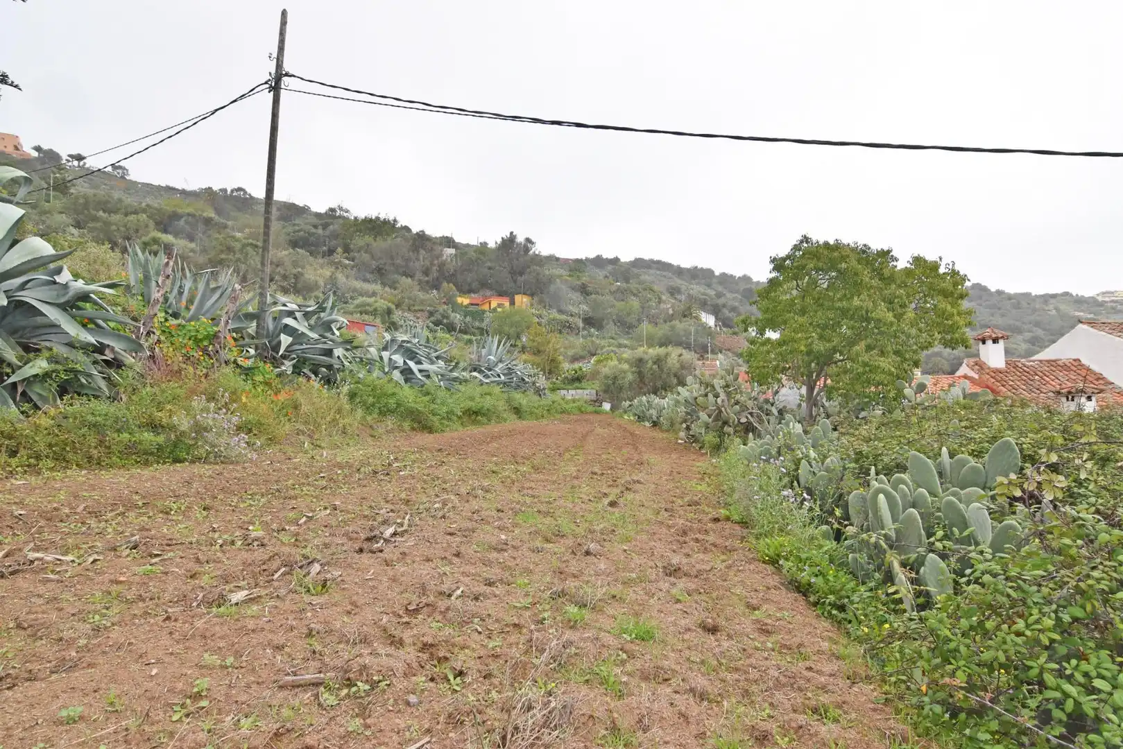 Finca rústica en venta en Camino PINO SANTO BAJO, 2, Portada Verde - Lomo Espino - Guanche