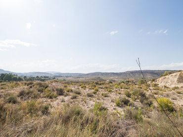Terreni e lotti in vendita a Mula