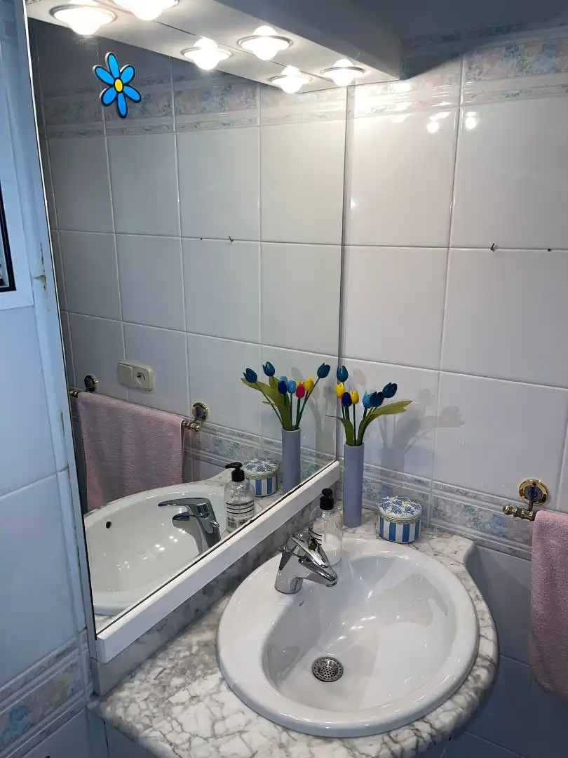 Bathroom of Flat for sale in Las Palmas de Gran Canaria  with Storage room, Furnished and Oven