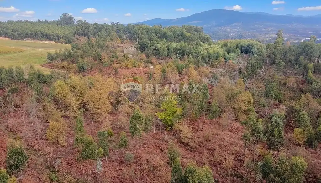 Terreny residencial en venda a Salvaterra de Miño, imagen 16