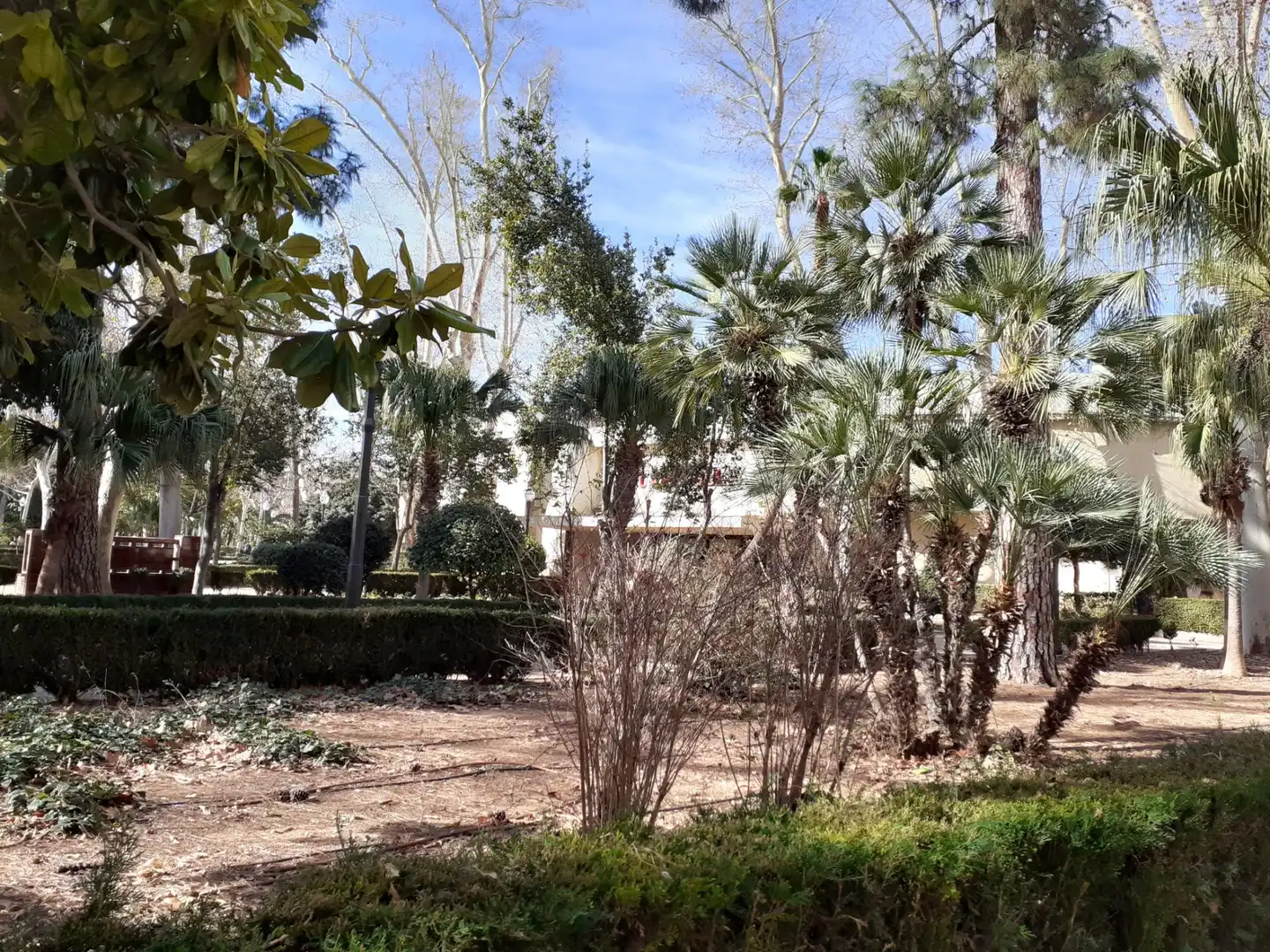 Jardín de Garaje de alquiler en Castellón de la Plana / Castelló de la Plana
