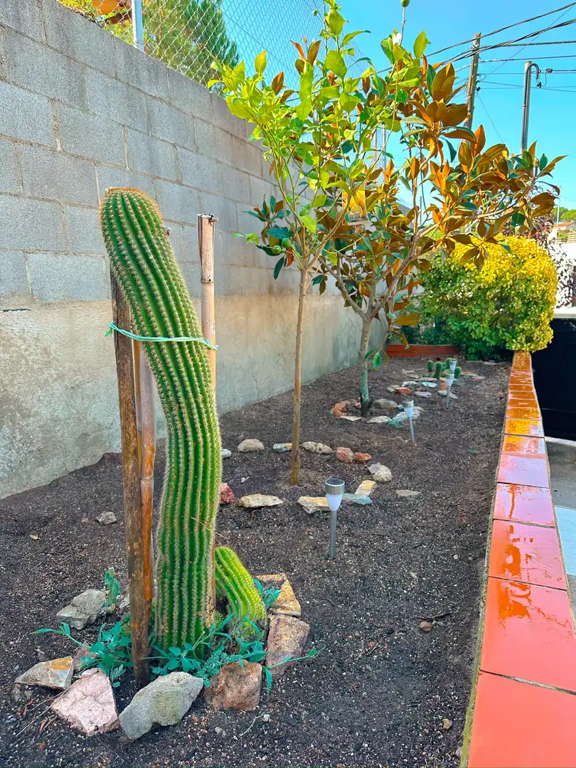 Jardín de Casa o chalet en venta en Tordera con Aire acondicionado, Terraza y Piscina