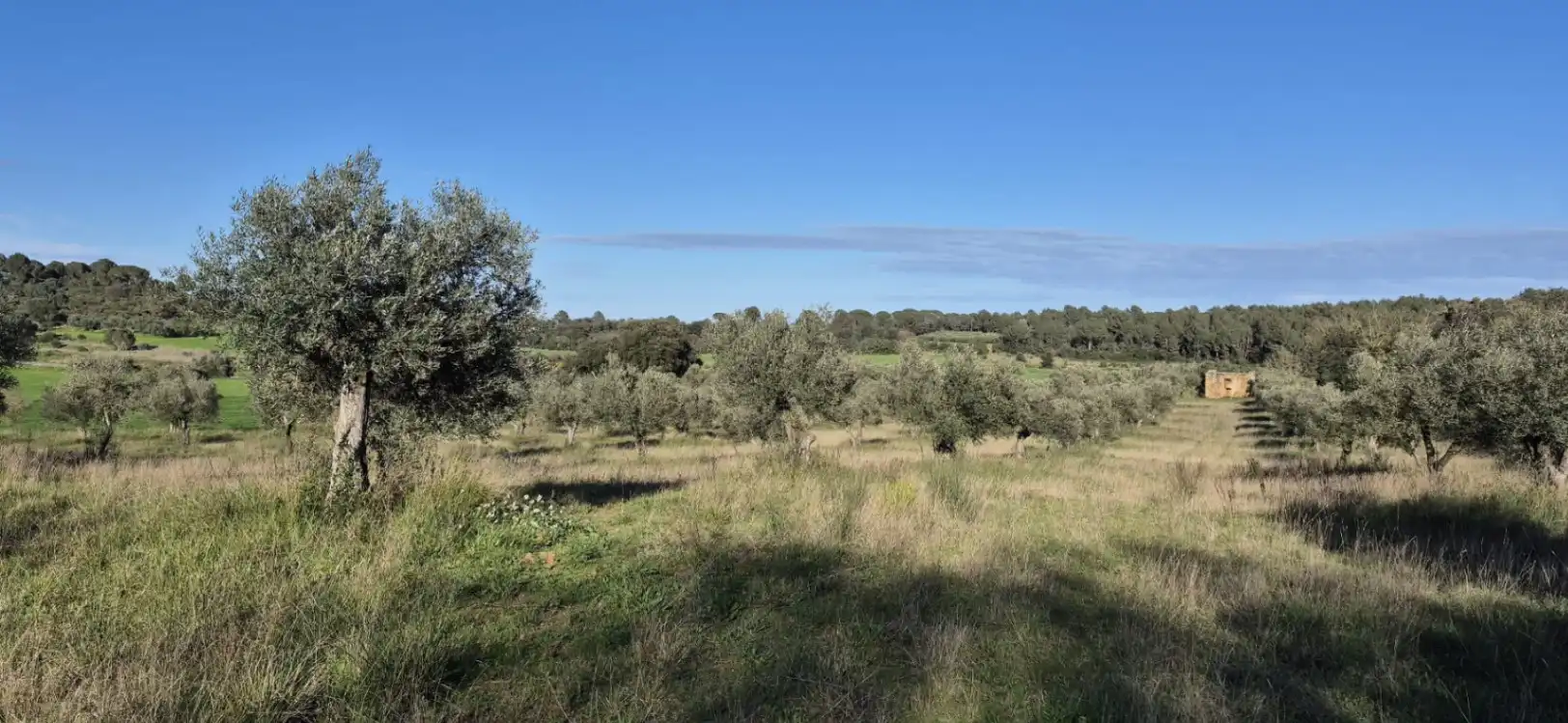Residencial en venta en Ullastret