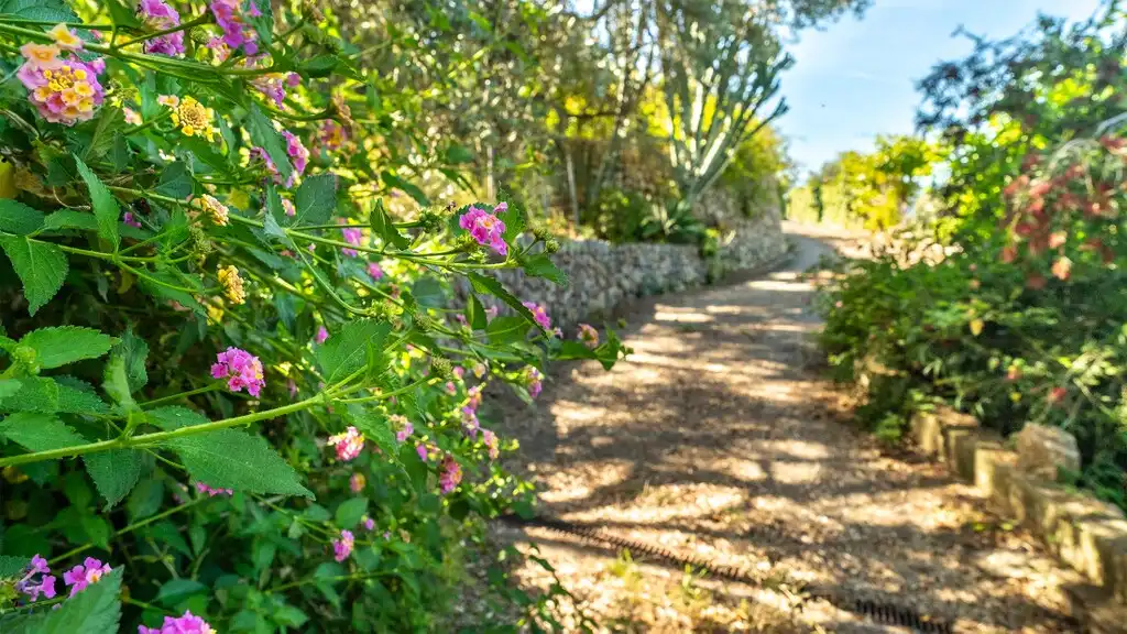 Country house with garden for sale in Sóller, imagen 15