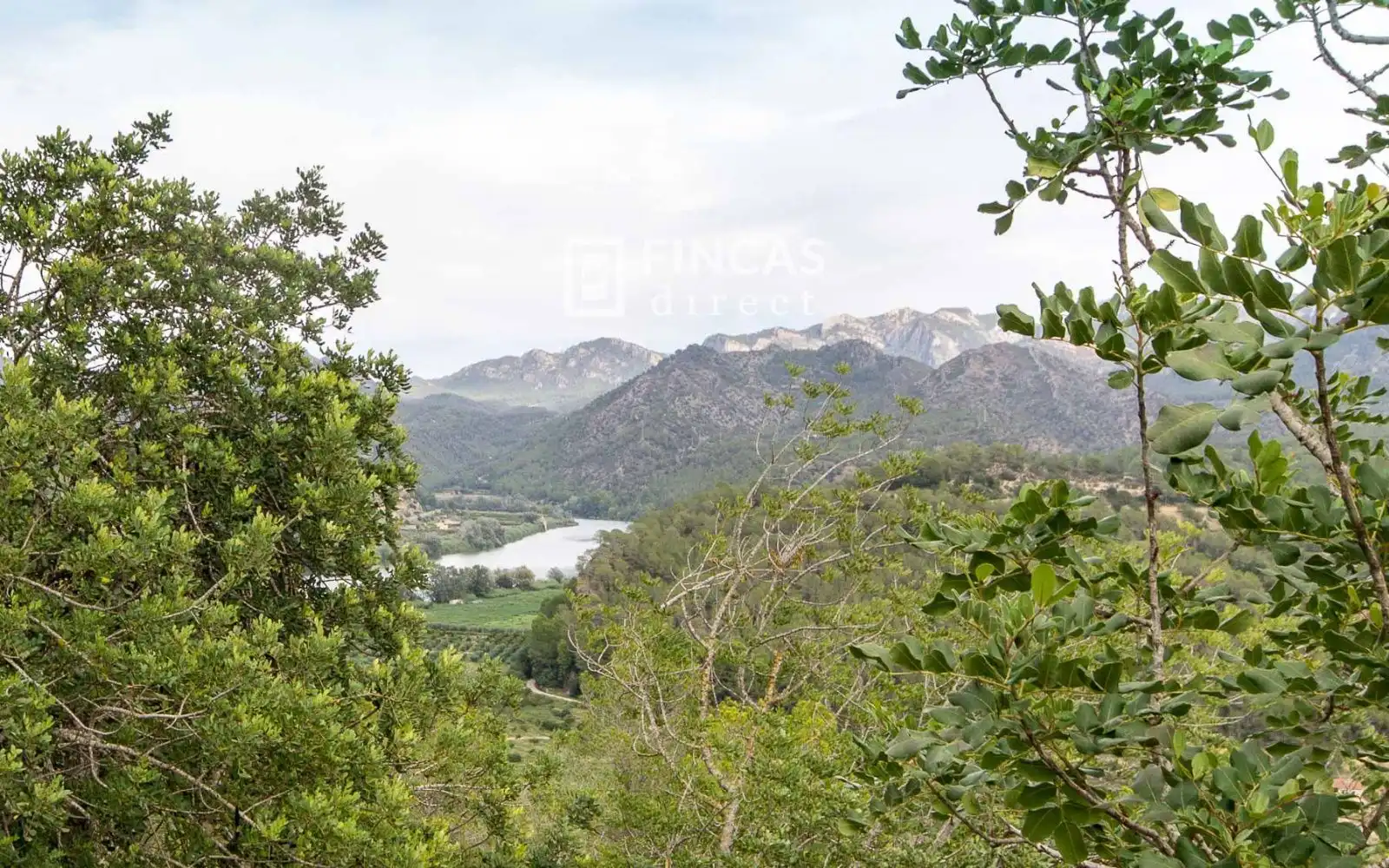 Finca rústica en venta en Benifallet con Trastero y Amueblado