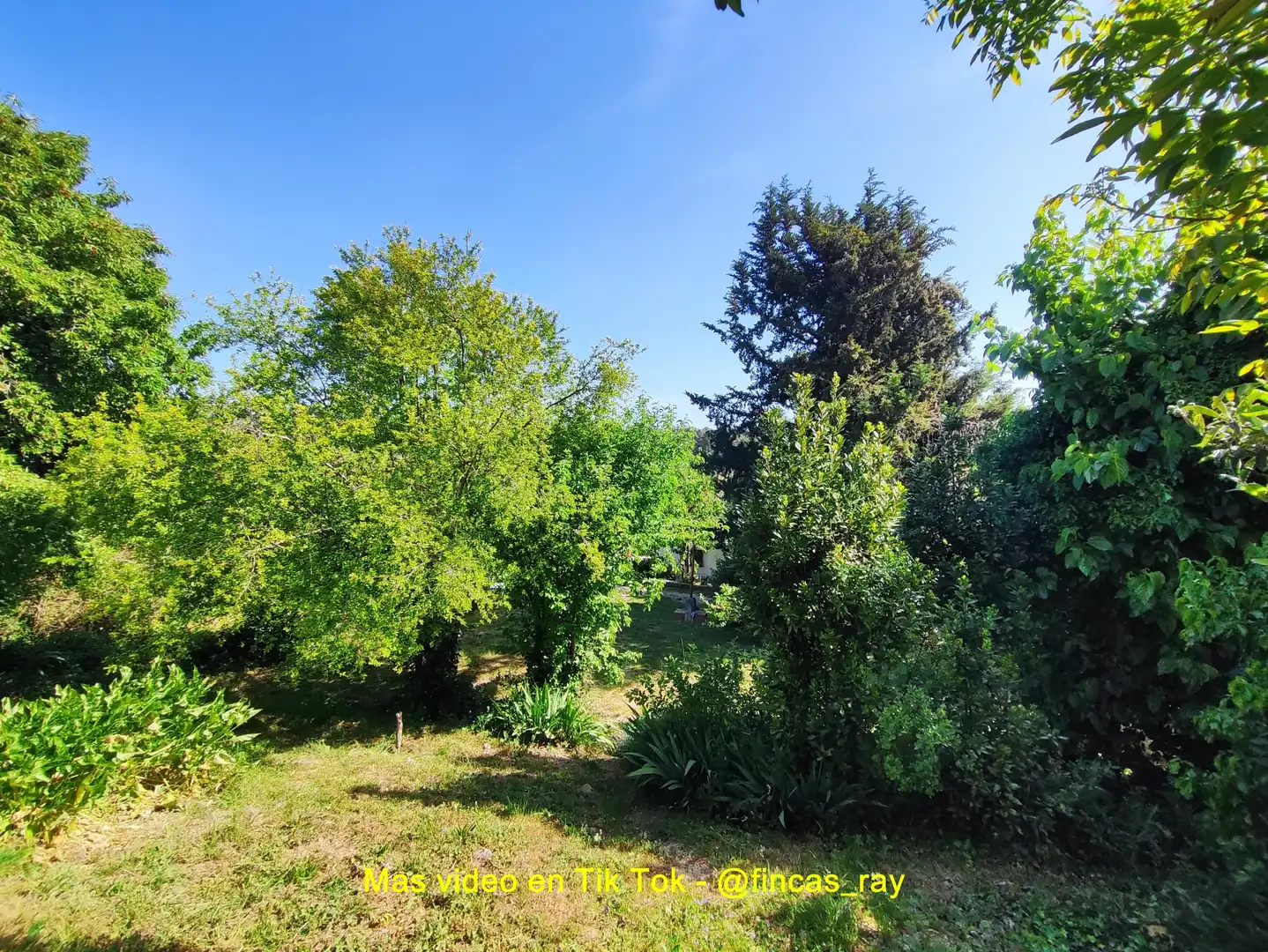 Terreno residenziale in vendita a Torrelles de Foix, imagen 8