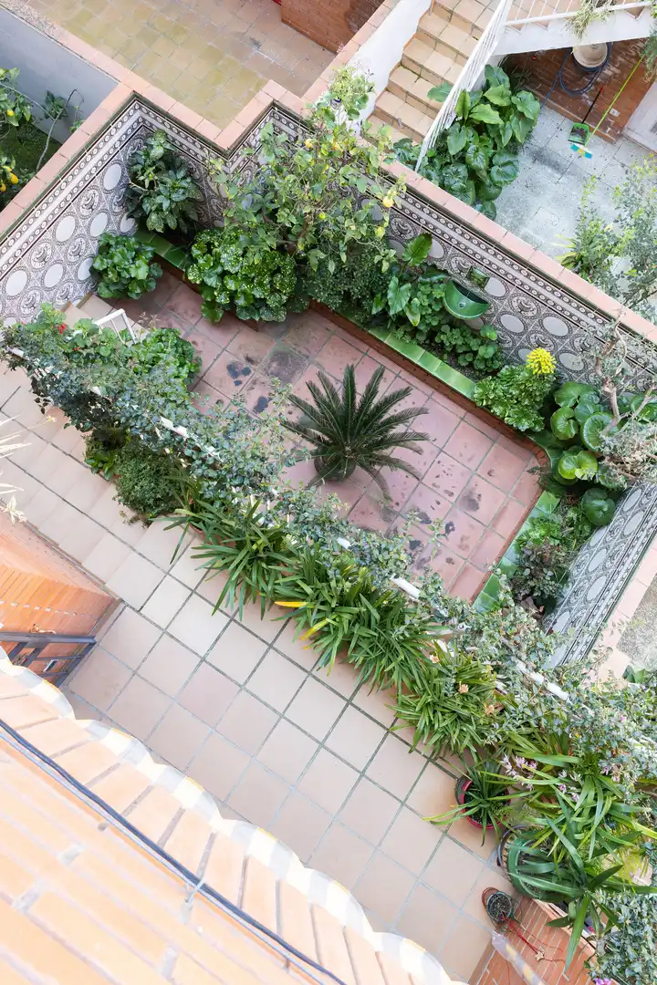 House with terrace for sale in Zona alta, imagen 22