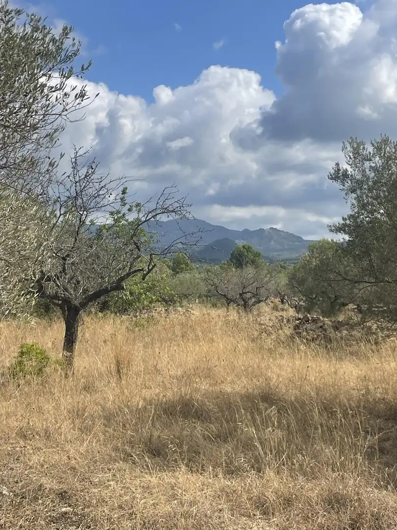 Terreno rústico en venta en L'Ametlla de Mar pueblo, imagen 9