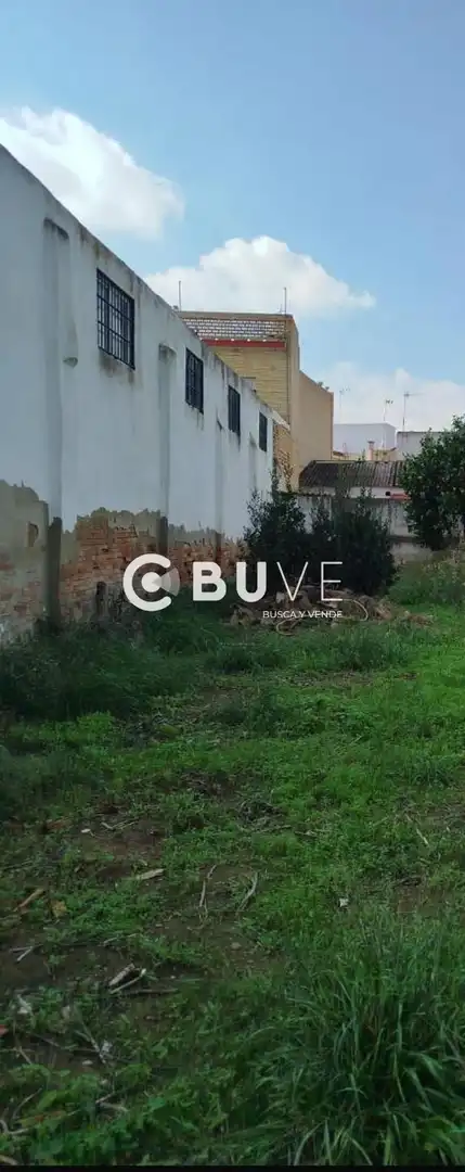 Rural land for sale in Prado