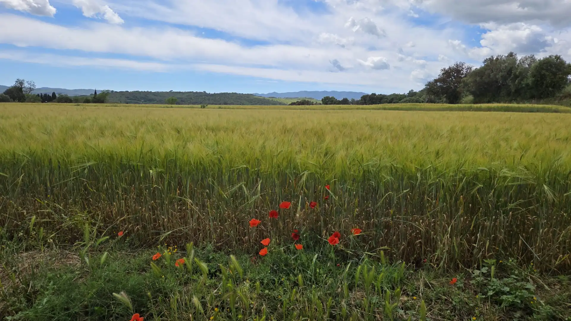 Finca rústica de lloguer en Corçà amb Jardí privat, Parquet i Moblat