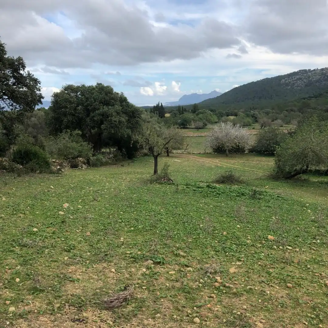 Casa o chalet en venta en Pollença