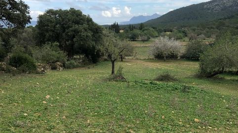 Foto 5 de Casa o chalet en venta en 0, -1, Pollença Poble, Pollença