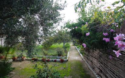 Garten von Haus oder Chalet zum verkauf in Chiclana de la Frontera