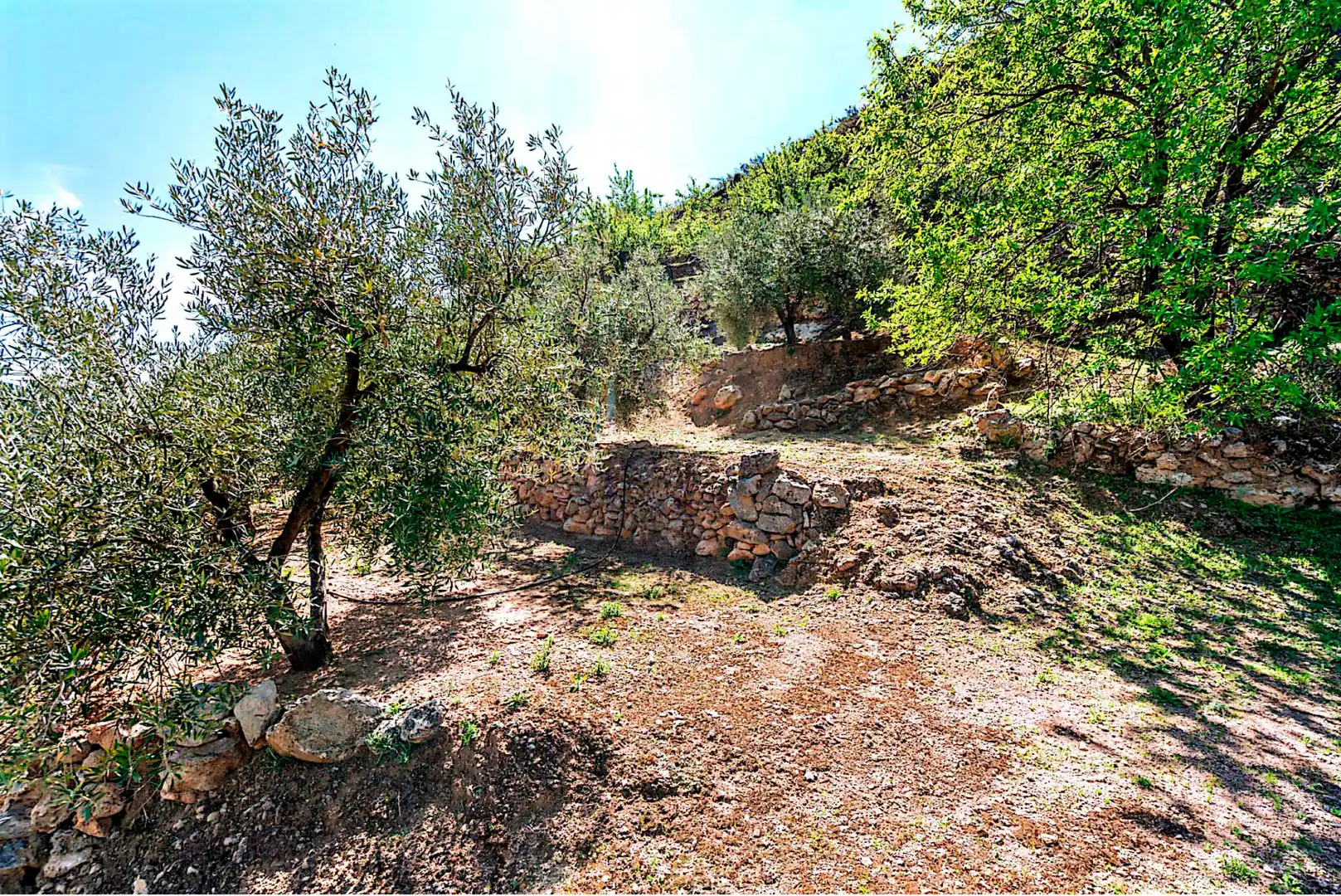Terrain rustique à vendre à El Pinar, imagen 21