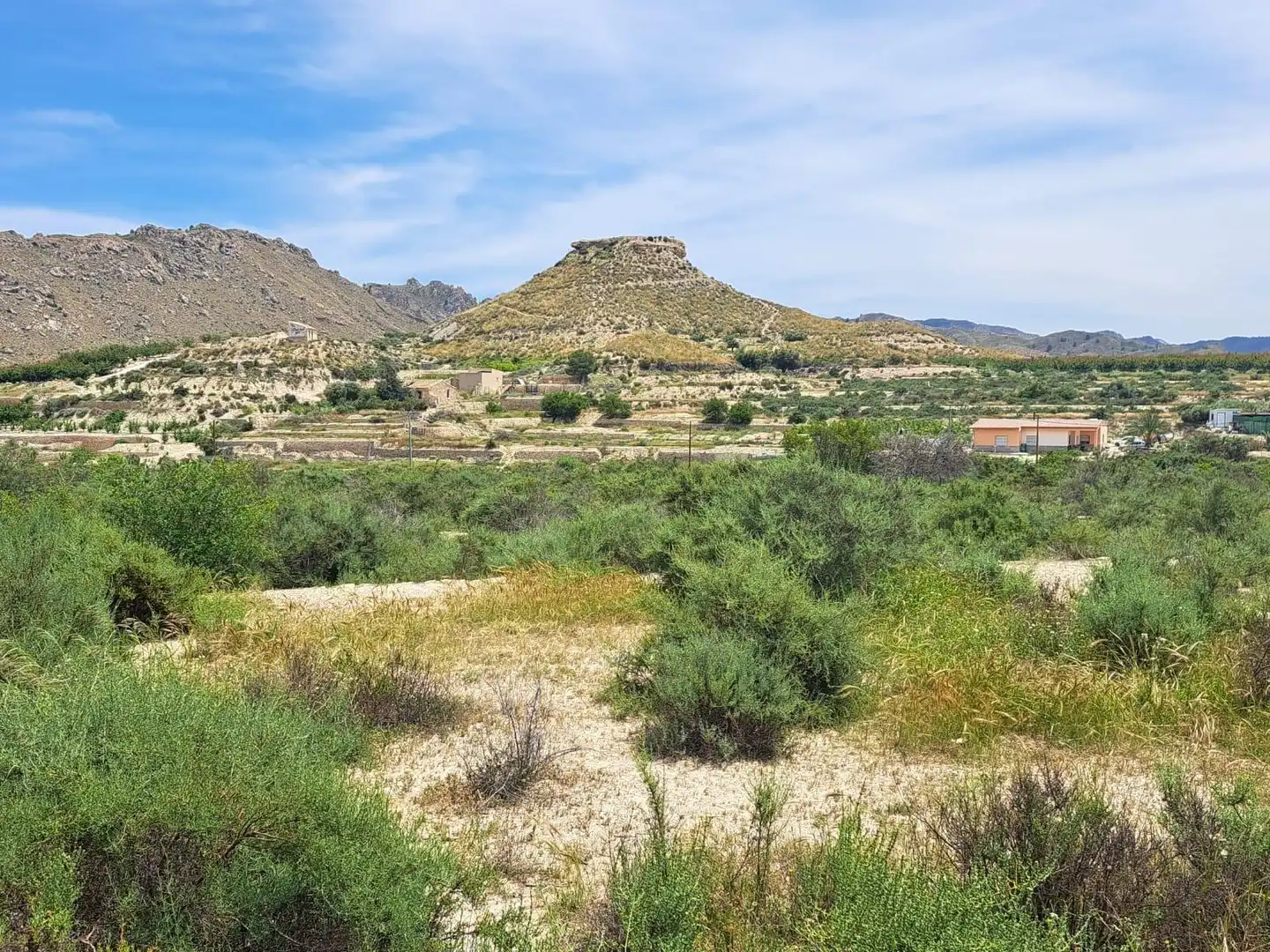 Residential land for sale in Abarán, imagen 6